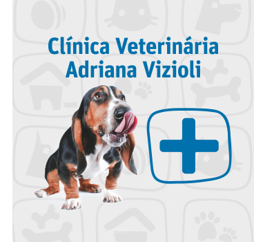 http://www.listatotal.com.br/logos/adrianavizioli-logo2.png
